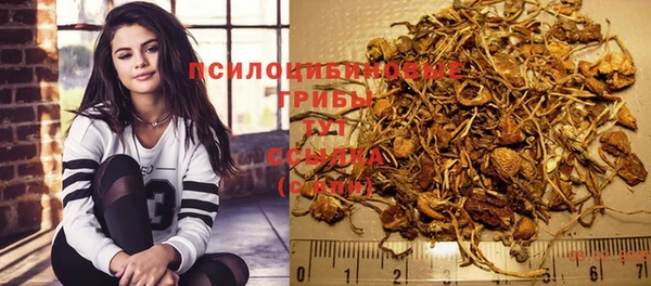дживик Богданович