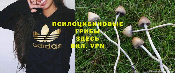 дживик Богданович