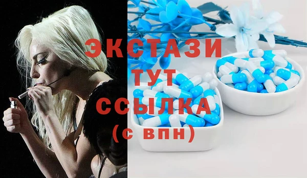 молекула духа Богородицк